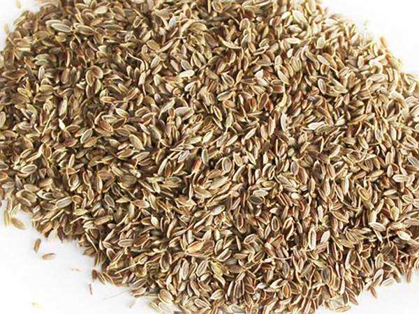 調味品的營養解析 調味品的營養解析